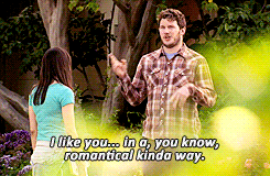 giphy.com/gifs/love-happy-parks-and-recreation-NvwO1yNYzlTR6
