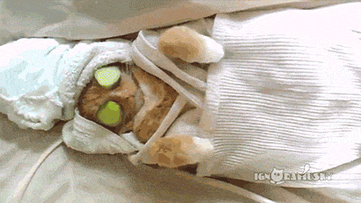 giphy.com/gifs/day-just-spa-cbAKfbbcC7D20