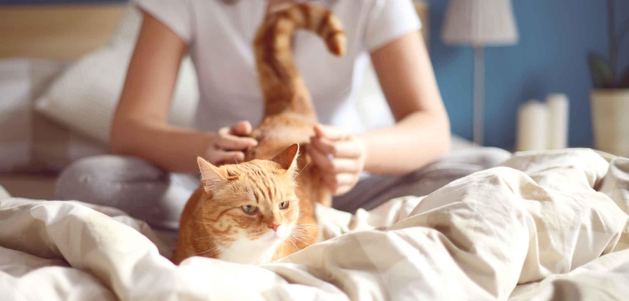 Alleine im Bett? Nichts für mich