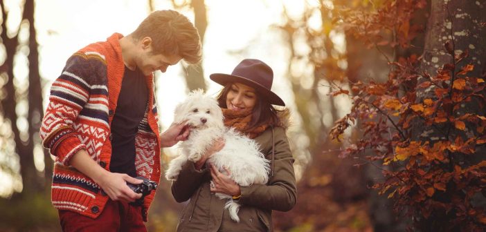Single mann hund