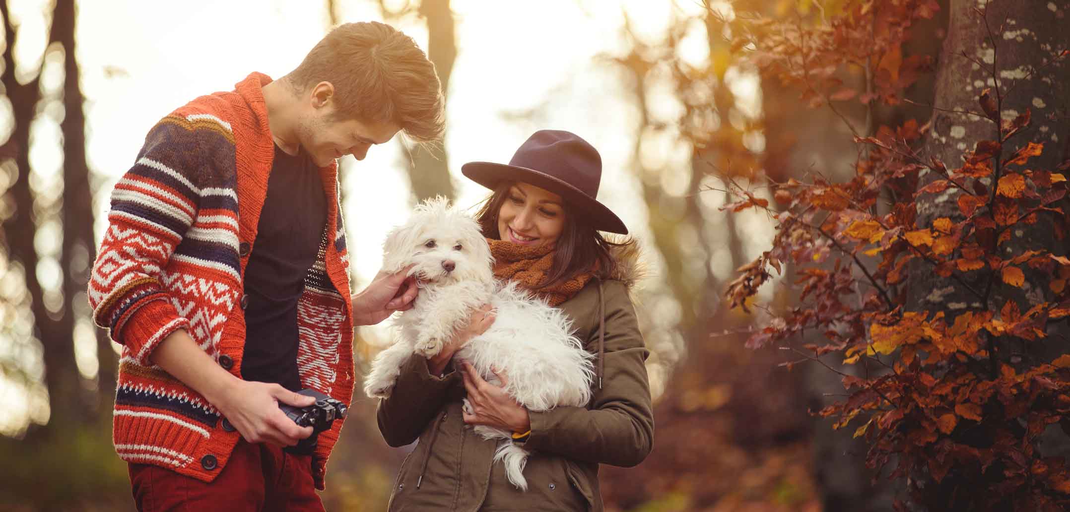 Der Hund beim ersten Date