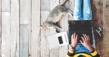 Keine Angst vor Katzen-Ladys! Als Katzen-Liebhaberin sind verantwortungsbewusste Partner