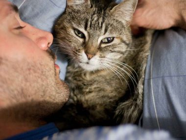 Probleme mit dem Haustier in der Beziehung