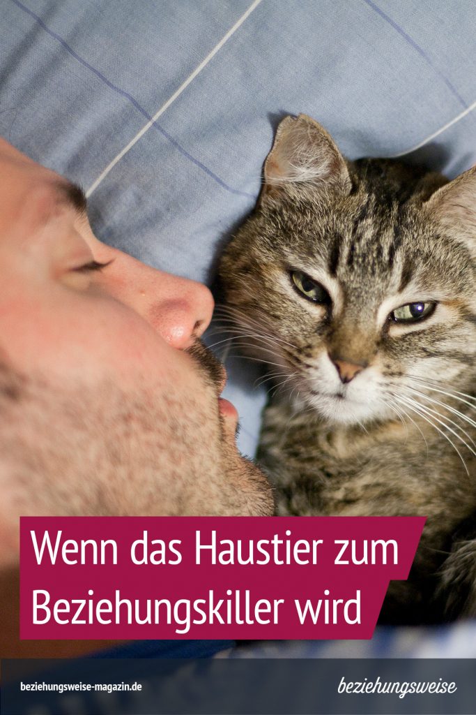 Beziehungskiller Haustier
